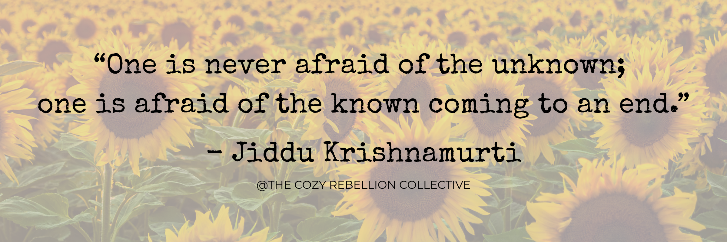 Quote in black text, superimposed over field of sunflowers: "One is never afraid of the unknown; one is afraid of the known coming to an end." - Jiddu Krishnamurti @The Cozy Rebellion Collective